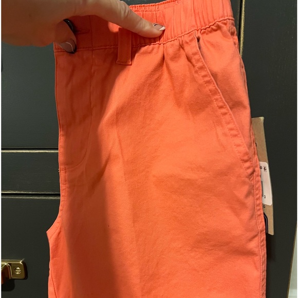 NWT Chubbies shorts - Picture 3 of 4